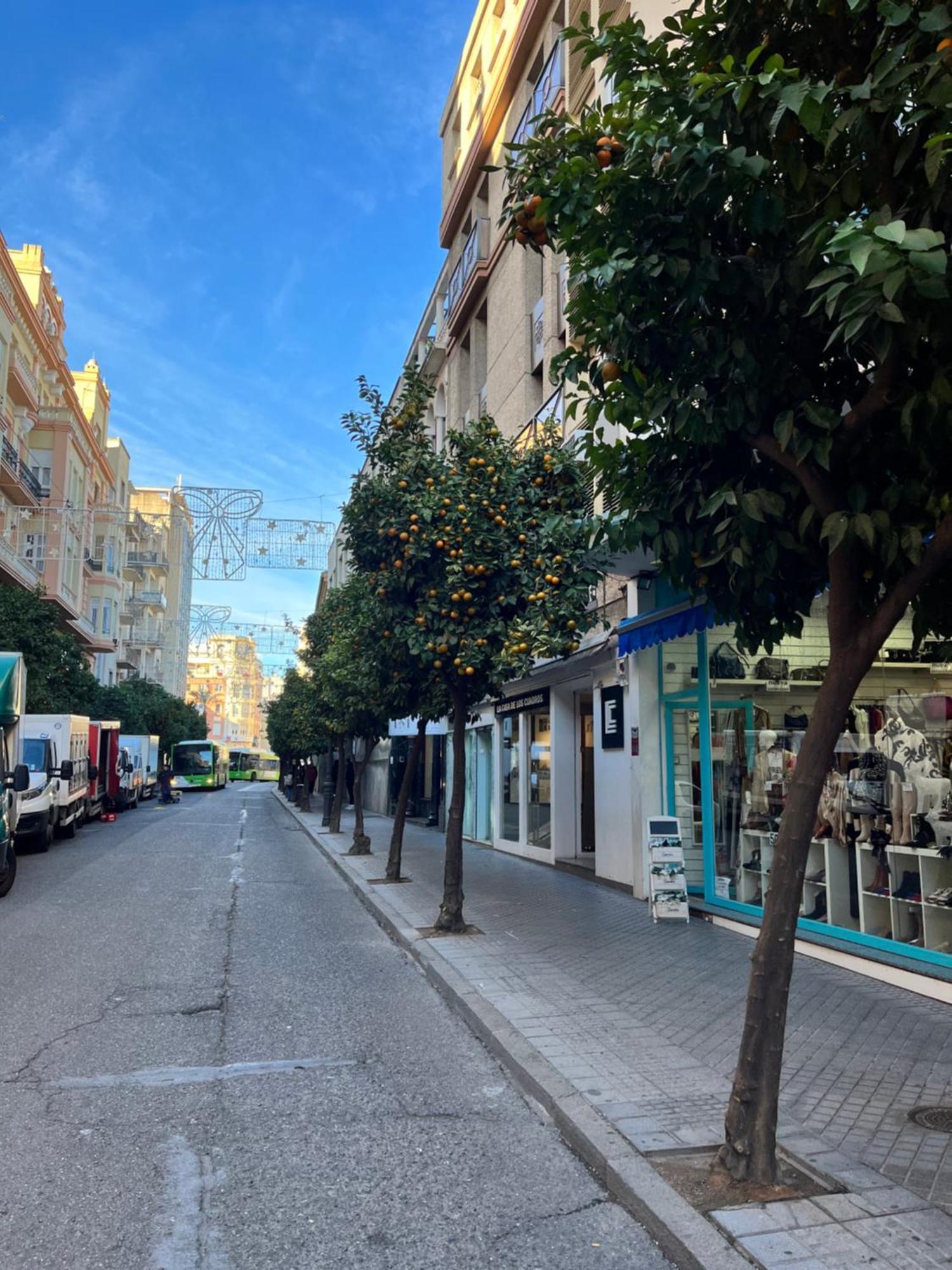 Centro- Apartamento Azonaicas Cordoba Dış mekan fotoğraf